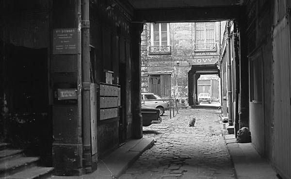 Paris (C) Peter Marshall, 1984