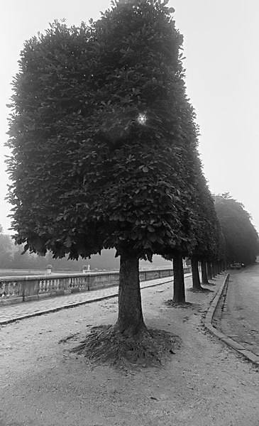 Paris (C) Peter Marshall, 1984