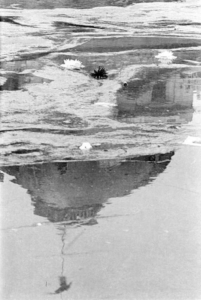 4f-13